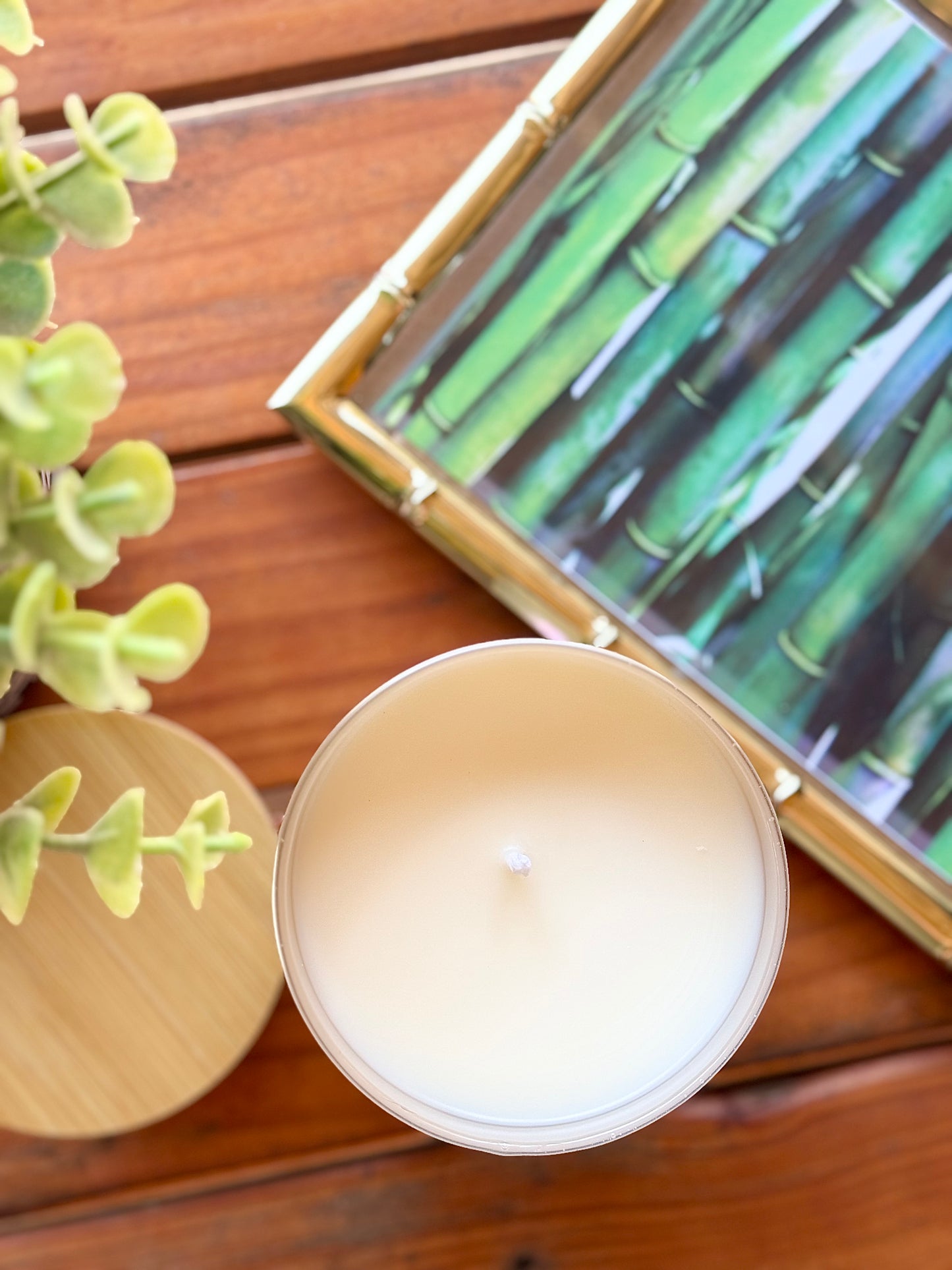 Bamboo Paradise "Pandamonium" // Benefitting Zoofari & Zoo Knoxville