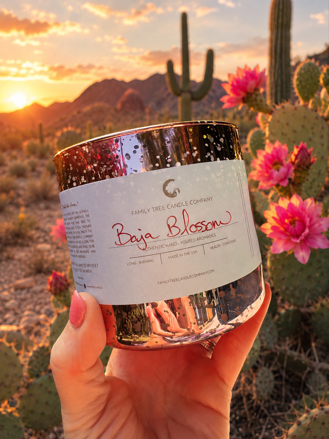 Baja Blossom