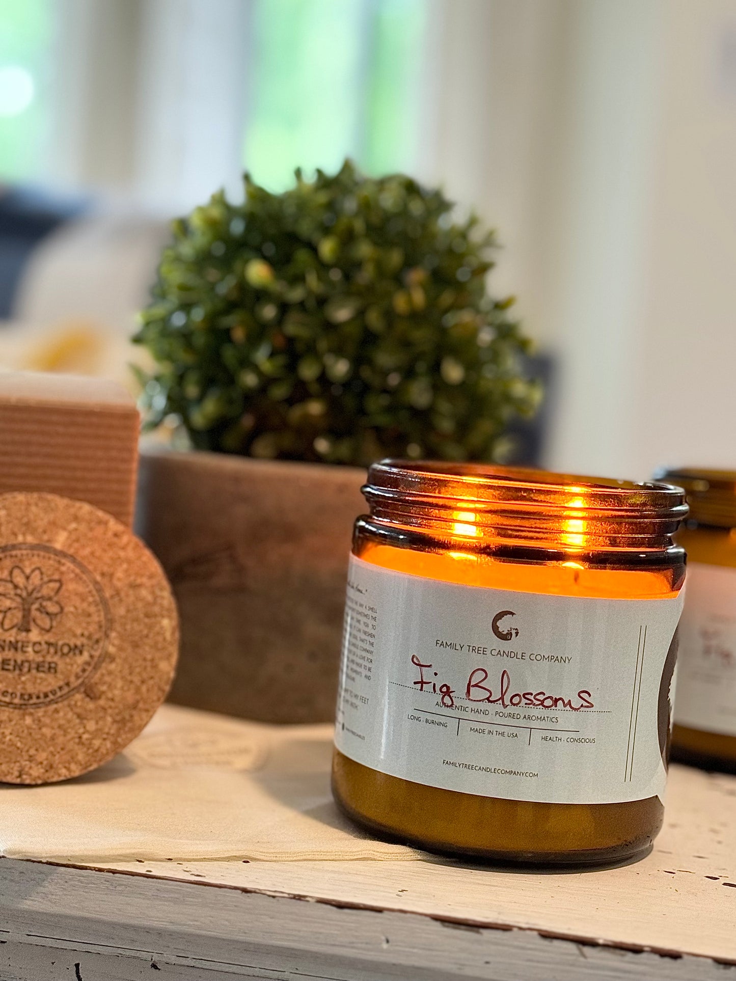 Fig Blossoms // Connection Center // Cokesbury Church