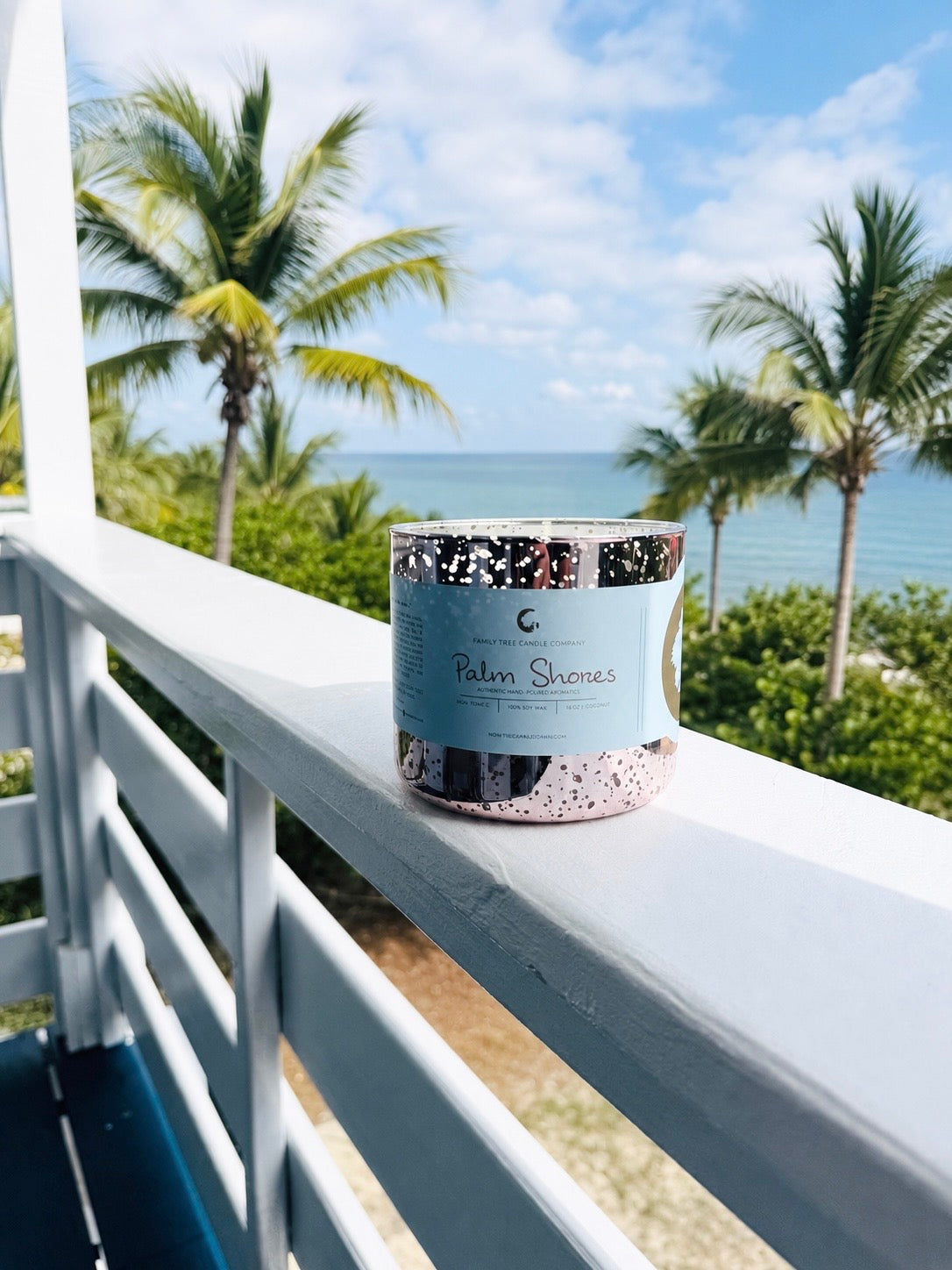 Palm Shores