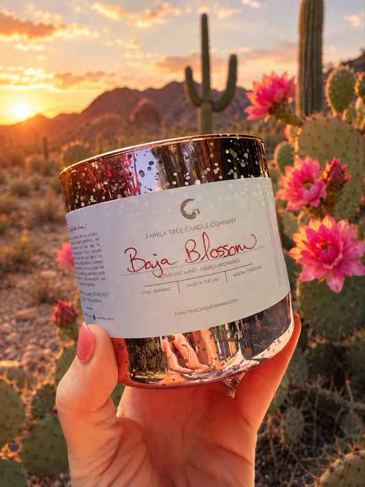 Baja Blossom